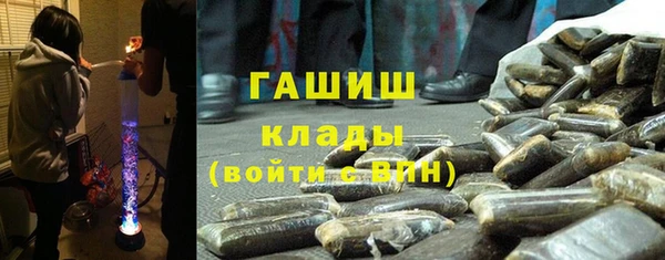 индика Алзамай