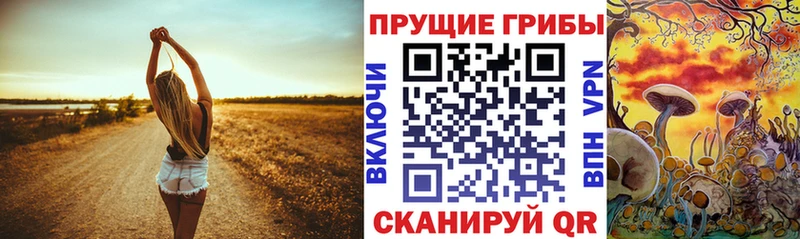 дарк нет наркотические препараты Боровичи Псилоцибиновые грибы Cubensis купить наркотики сайты
