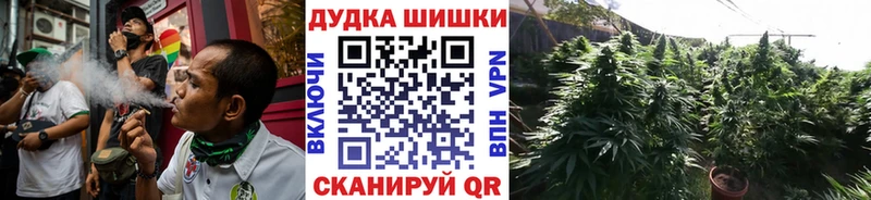 blacksprut сайт  Боровичи  Конопля семена  сколько стоит 